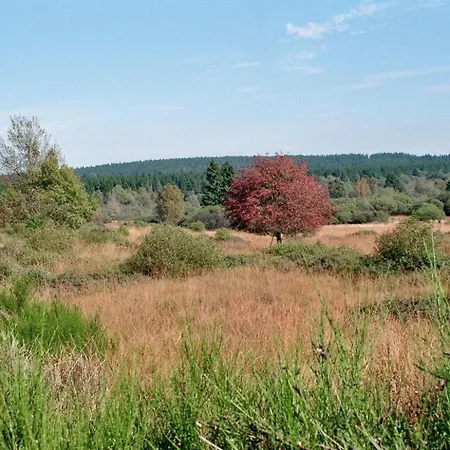Loeftchen Casa vacanze